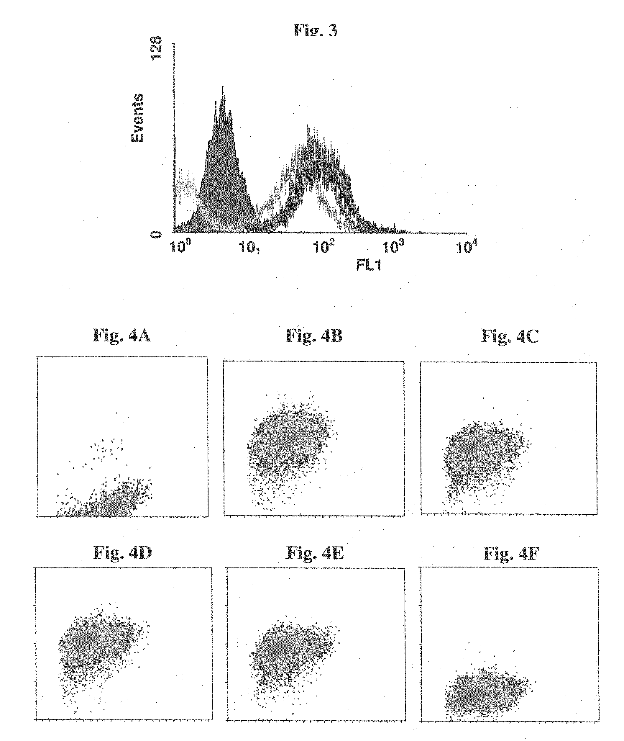 Targeting of innate immune response to tumor site