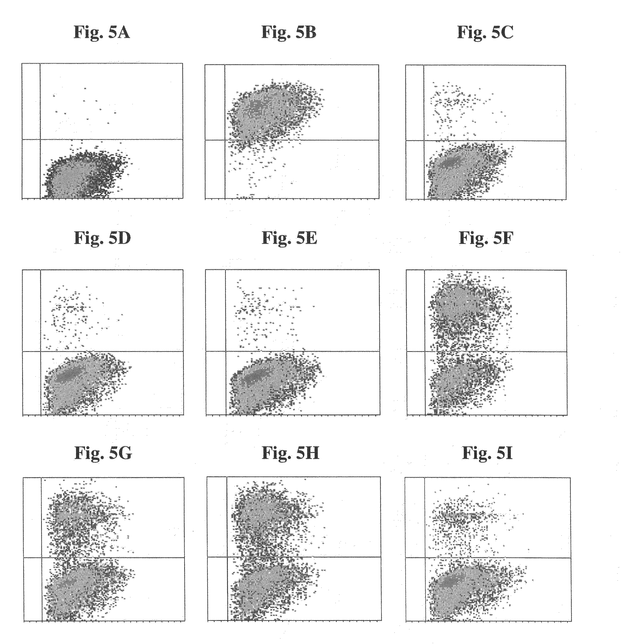 Targeting of innate immune response to tumor site