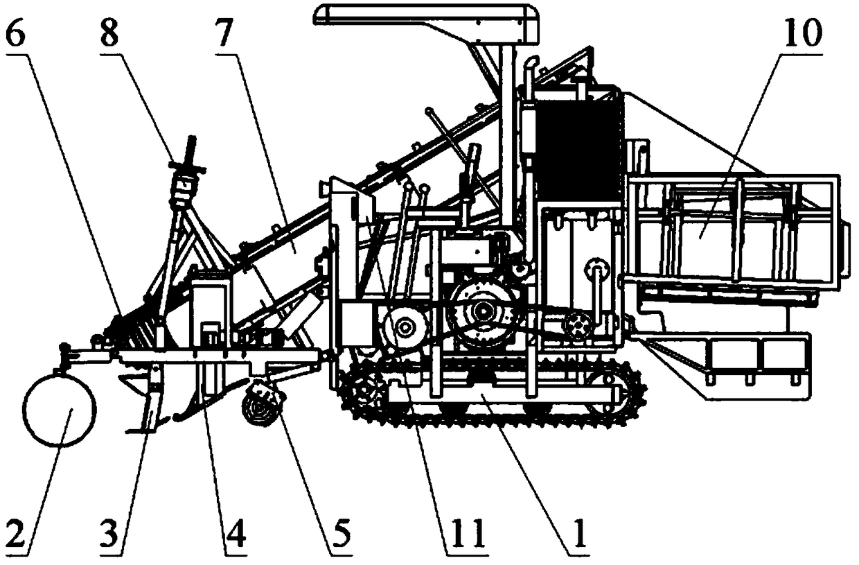 Single-row self-propelled scallion combine harvester