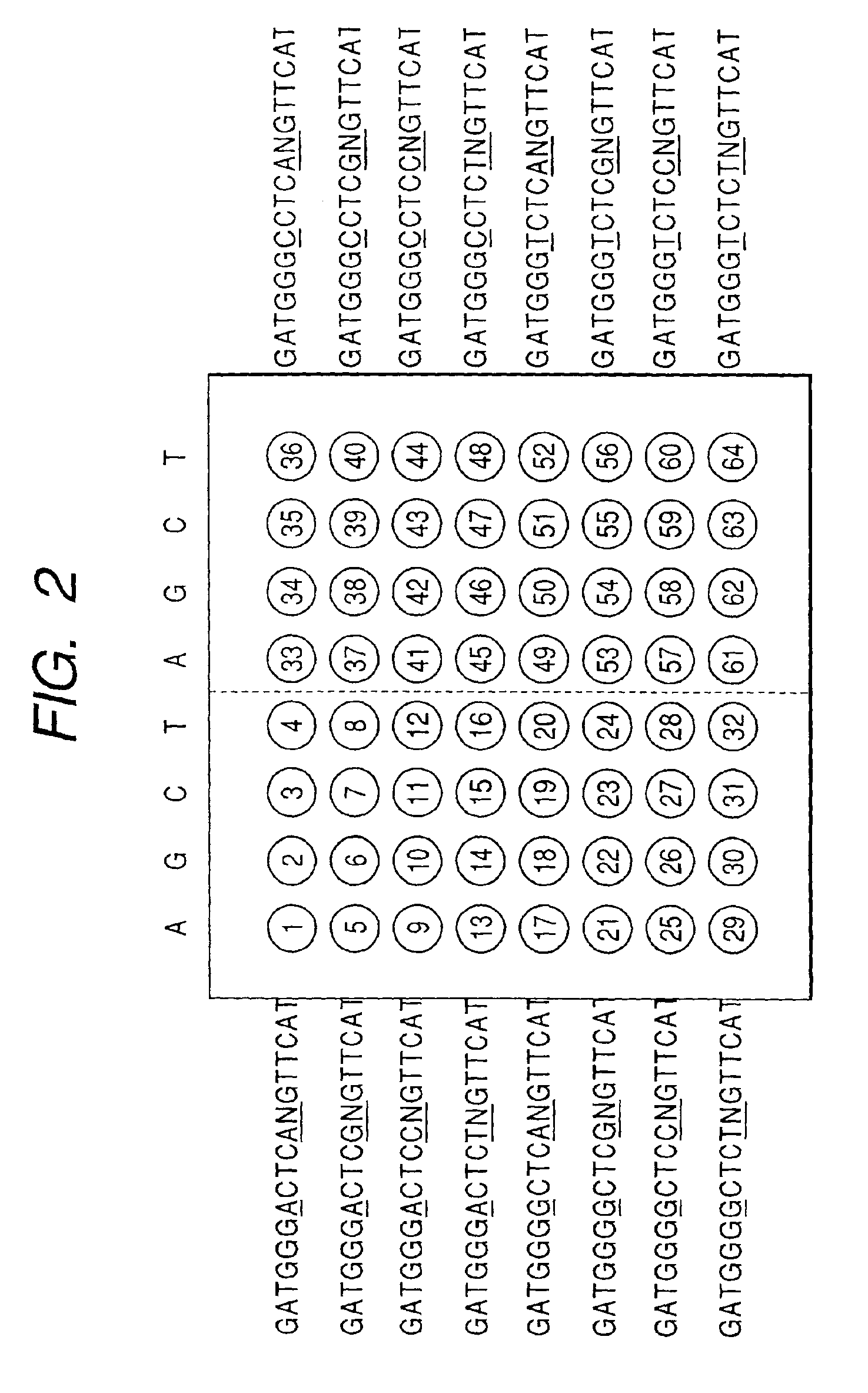 Screening method for gene variation