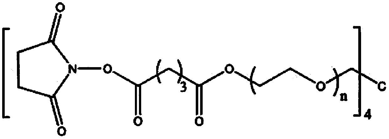 Spinal dura mater sealing hydrogel and preparation method and application thereof