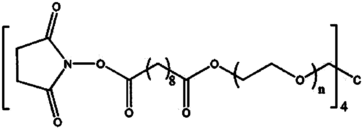 Spinal dura mater sealing hydrogel and preparation method and application thereof