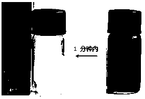 Molecular bottle brush type reverse phase adsorbent as well as preparation method and application thereof