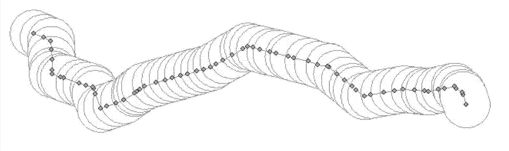 Method for assessing lightning flashover risks of regional power grid lines