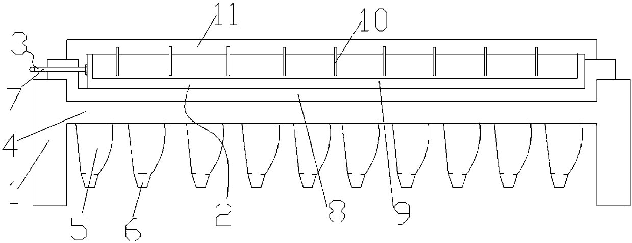 Precision seeding device for beans