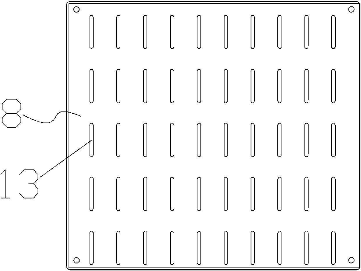 Precision seeding device for beans