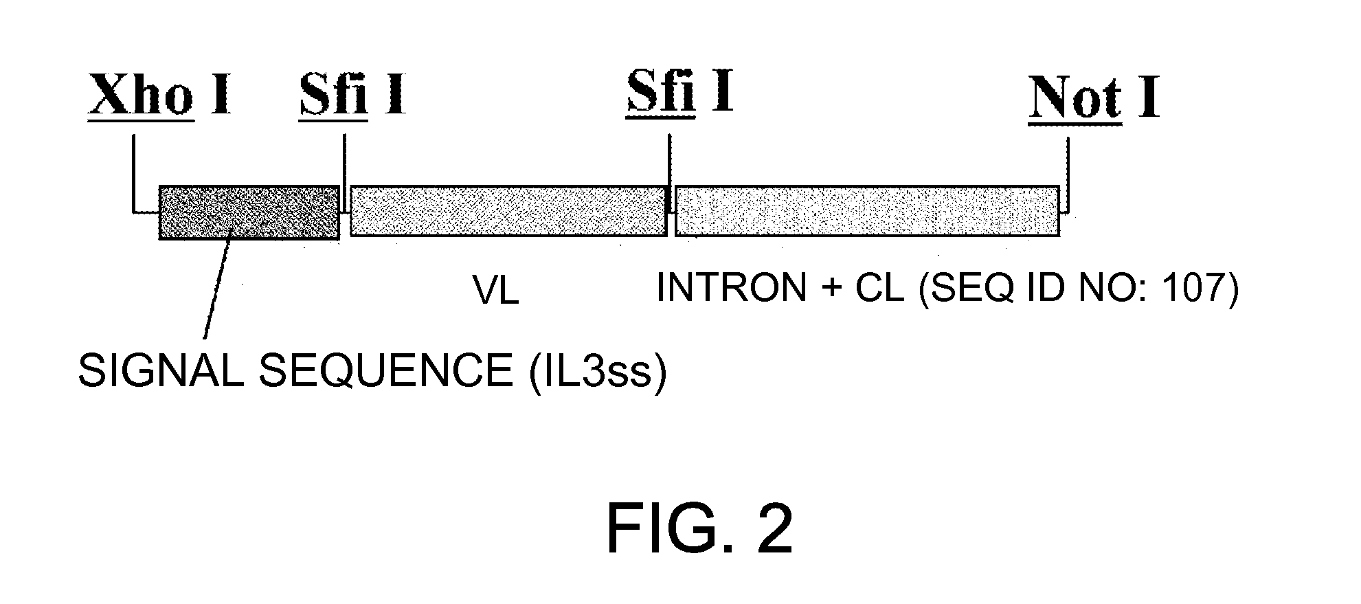 Antibody Substituting for Function of Blood Coagulation Factor VIII