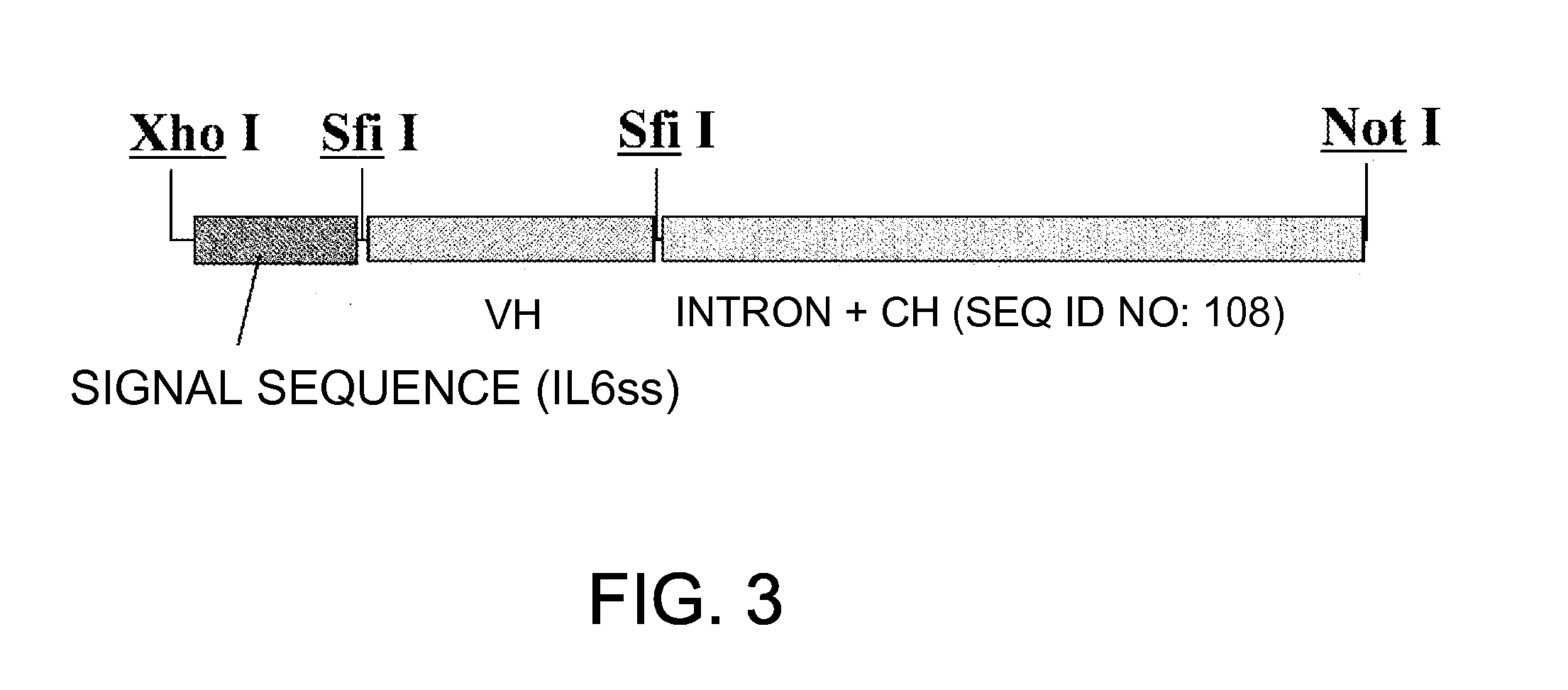 Antibody Substituting for Function of Blood Coagulation Factor VIII