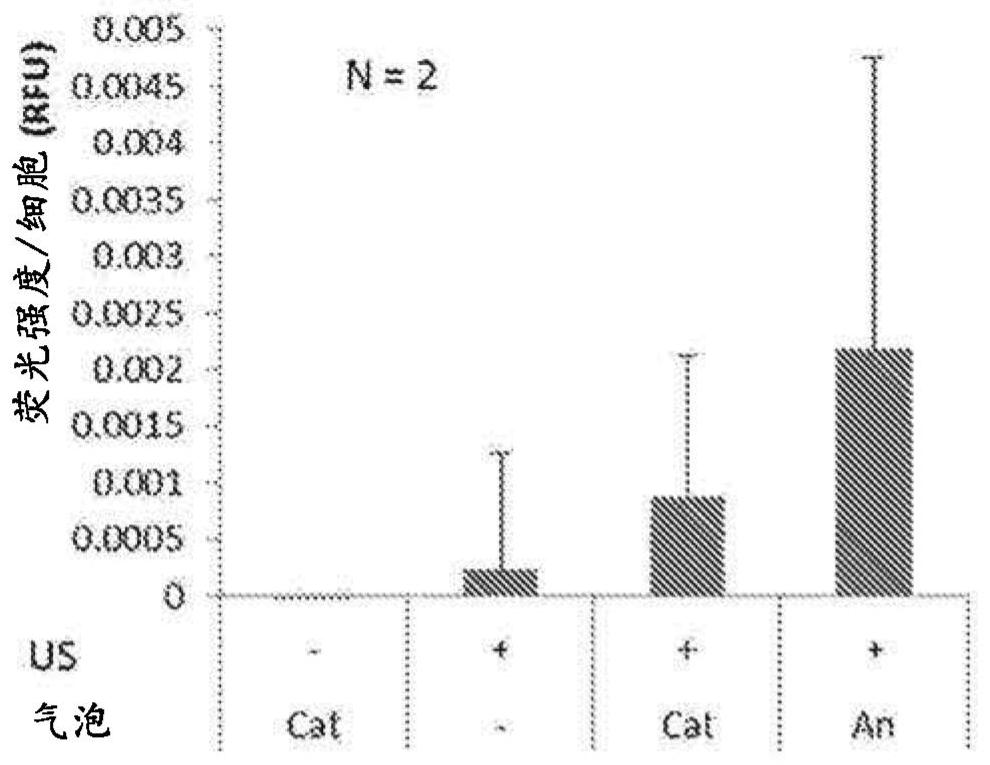 Transfection method