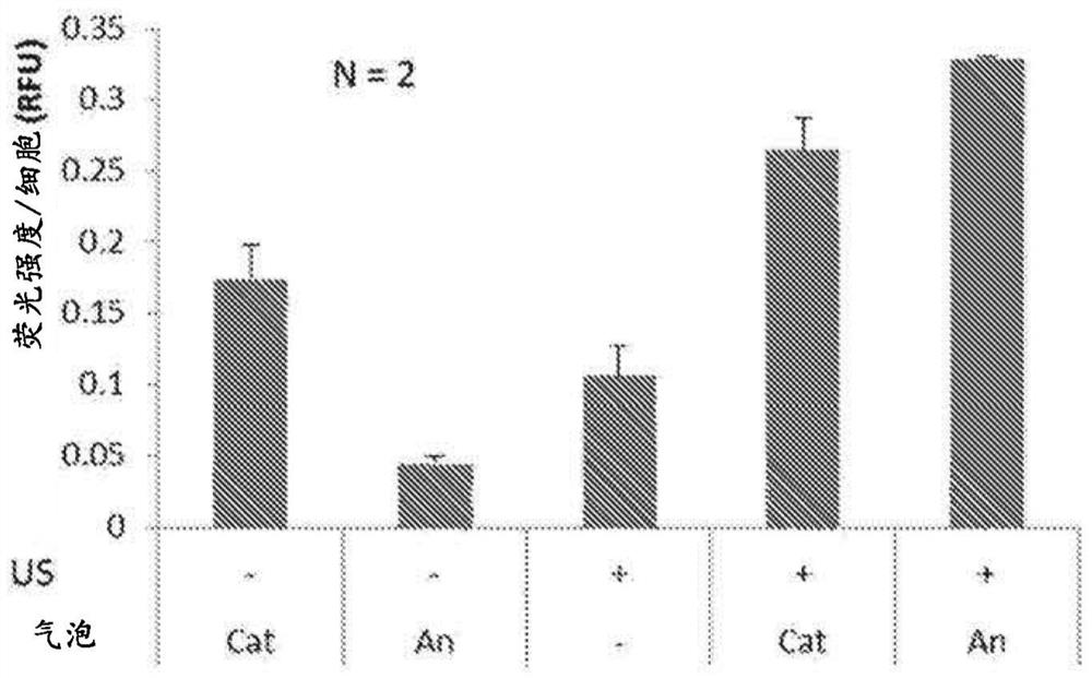 Transfection method