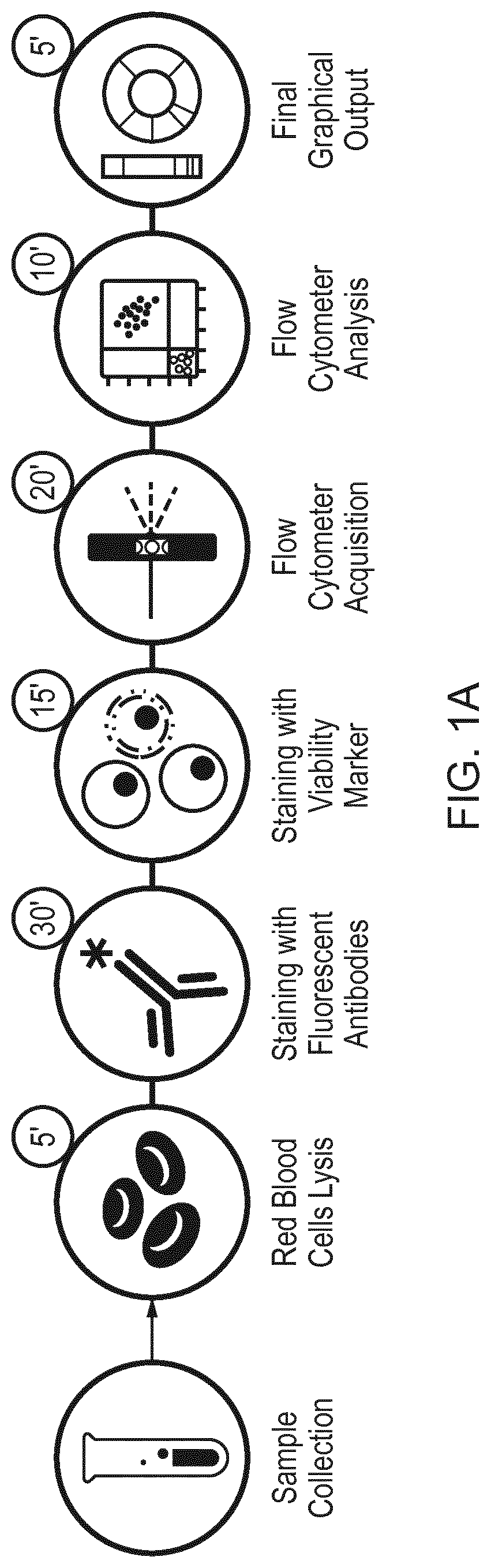 Uses, methods, kits, compositions and antibodies for identifying hematopoietic cell subtypes