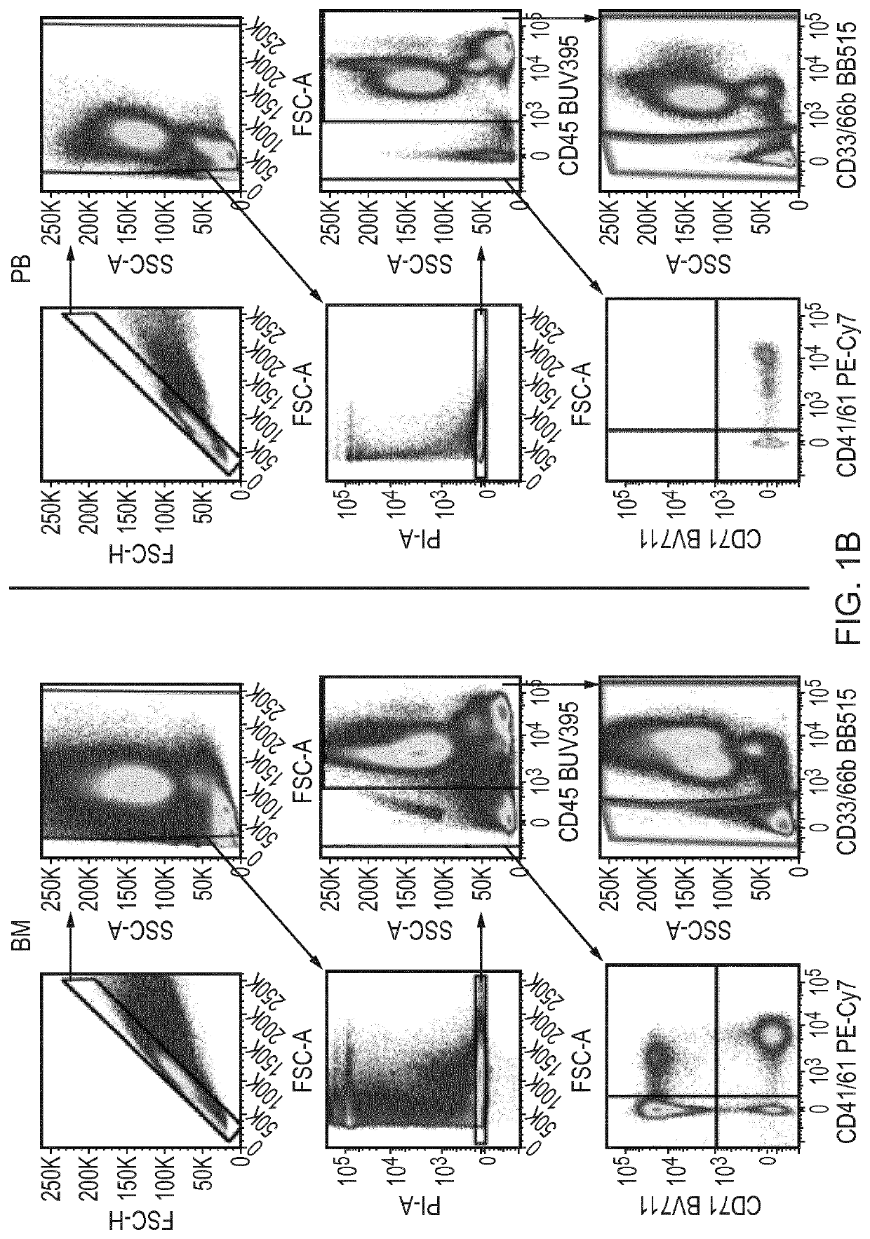 Uses, methods, kits, compositions and antibodies for identifying hematopoietic cell subtypes