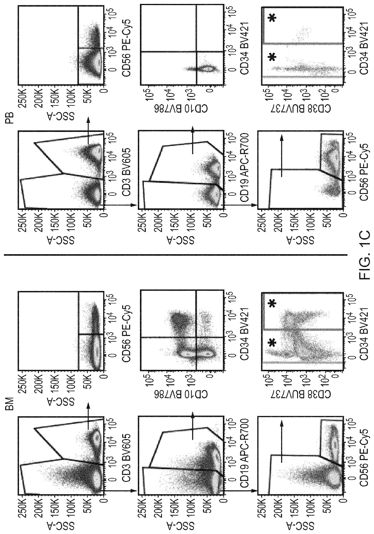 Uses, methods, kits, compositions and antibodies for identifying hematopoietic cell subtypes