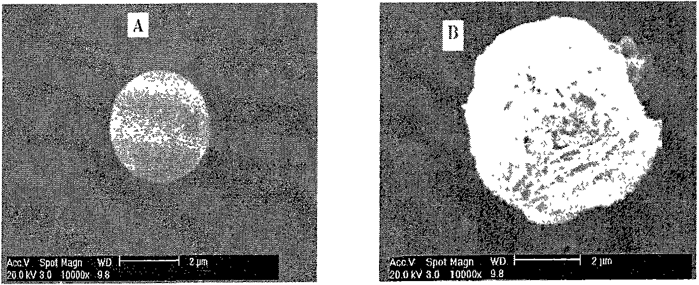 Dry powder inhalation, preparation method and application thereof