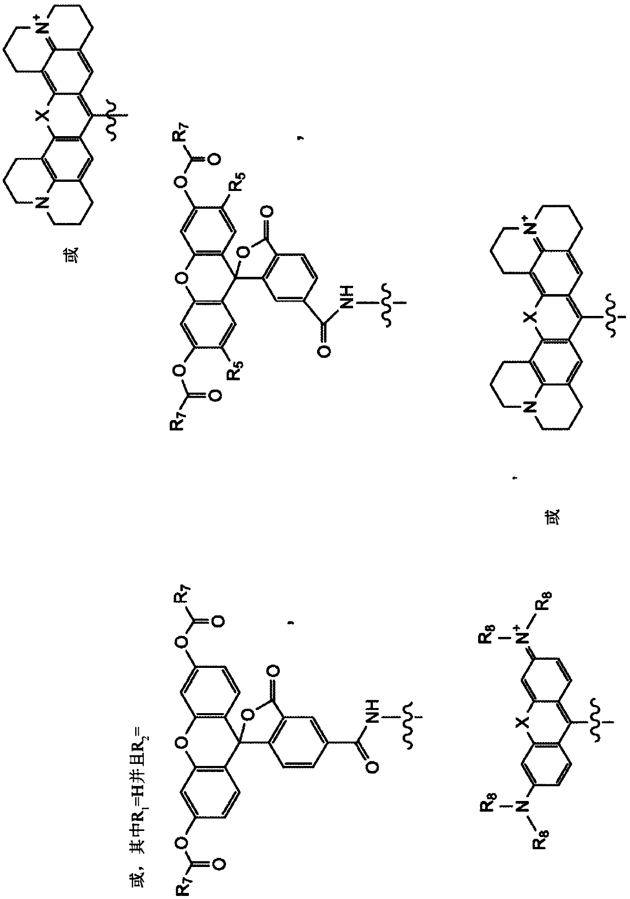 Composition and methods for measuring ion channel activity in a cell