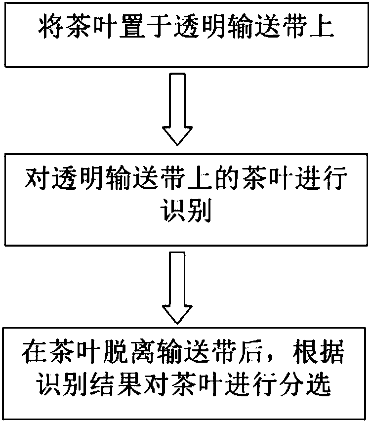 Fresh tea sorting device and method