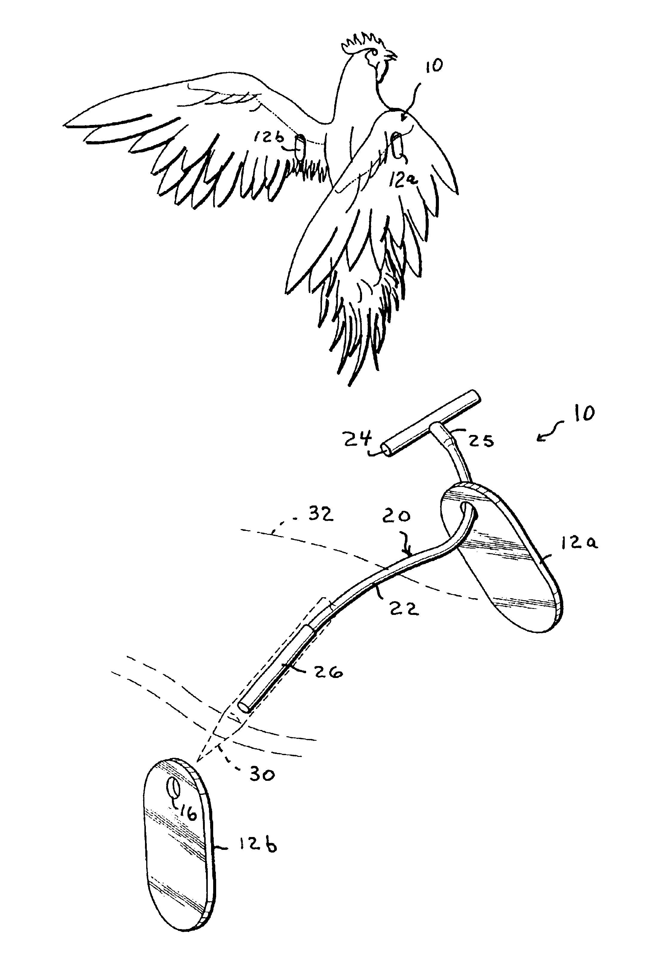 Avian medicament or pest control product and method