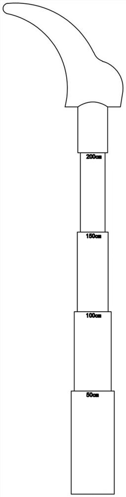 Sugarcane seed selection tool and application method thereof