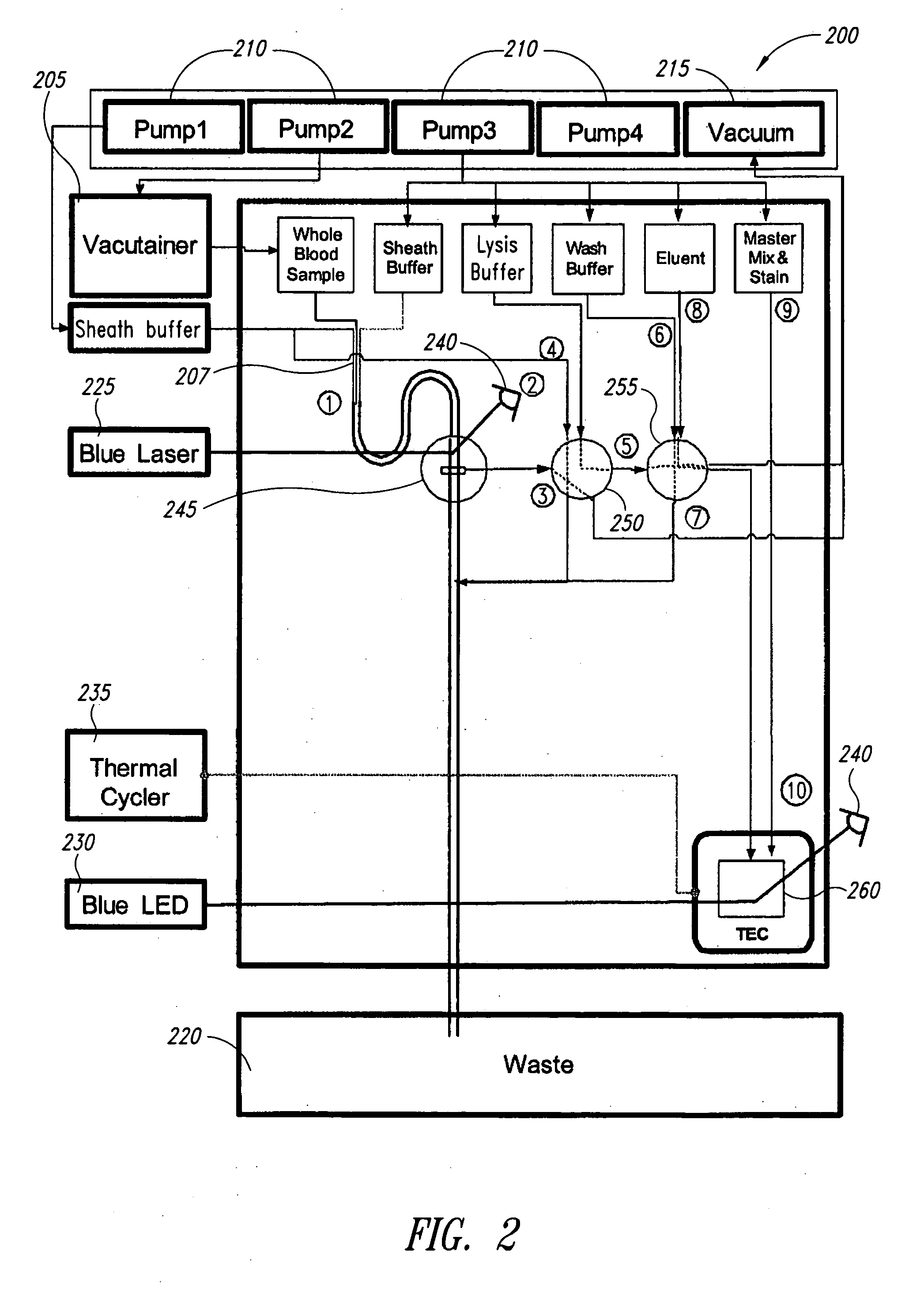 Microfluidic rare cell detection device