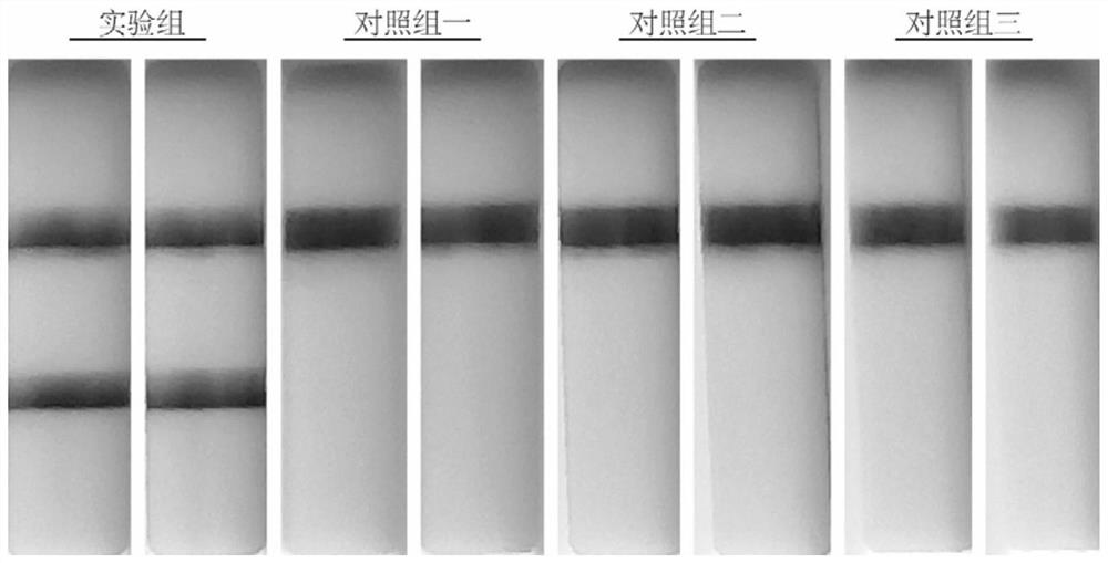 Virus recombinase-polymerase amplification detection method