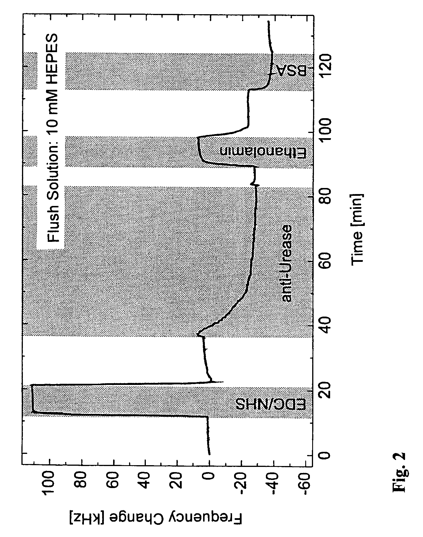 Dextran-coated surface