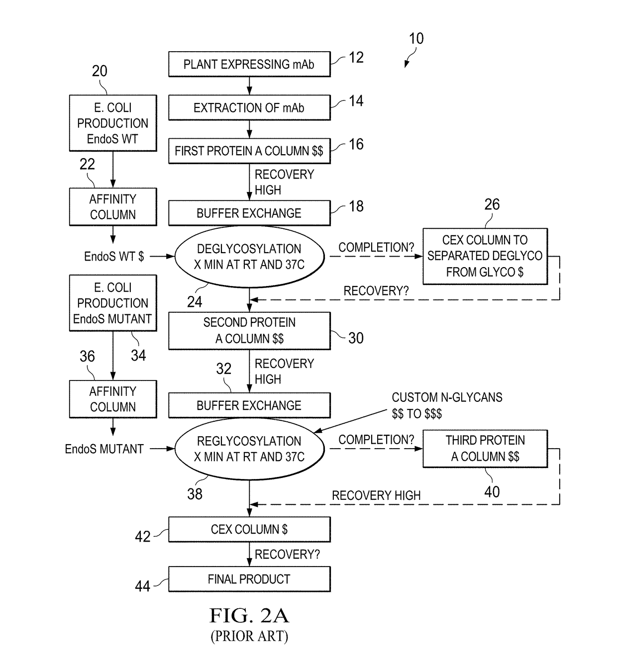 Method for in vivo production of deglycosylated recombinant proteins used as substrate for downstream protein glycoremodeling