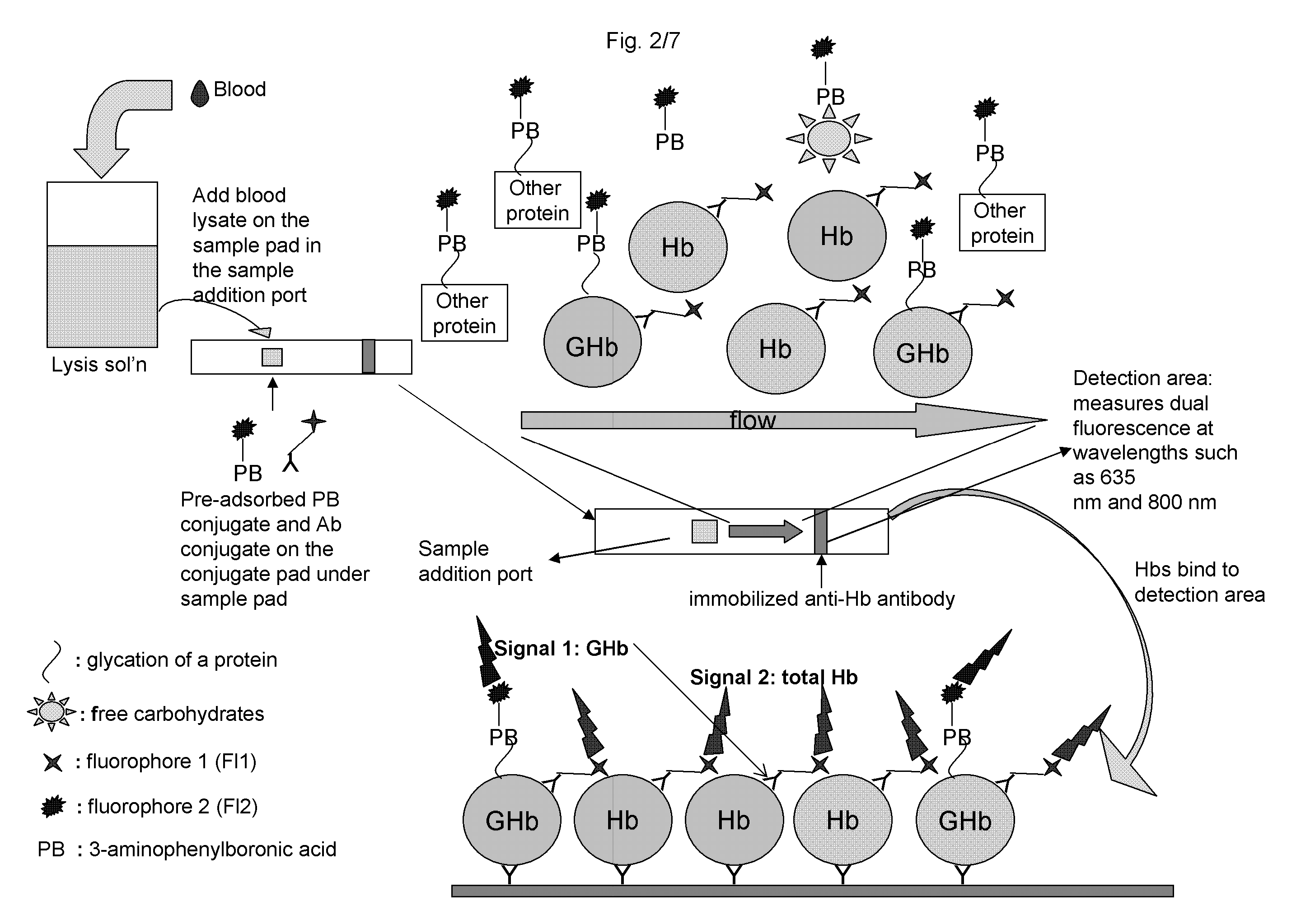 Systems and methods for determining the percentage of glycated hemoglobin