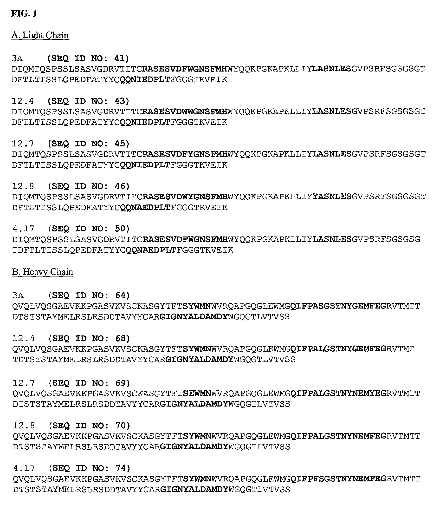 TGF-β binding antibodies