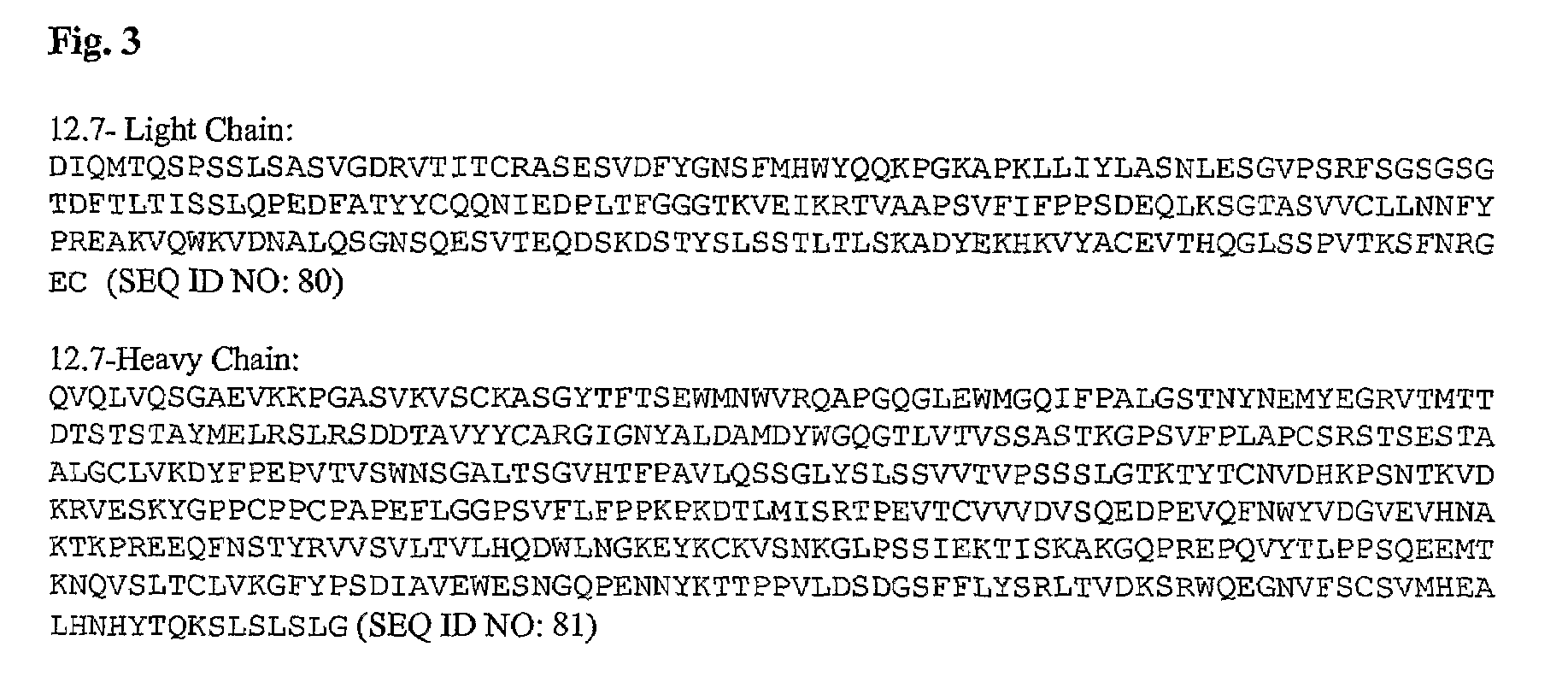 TGF-β binding antibodies