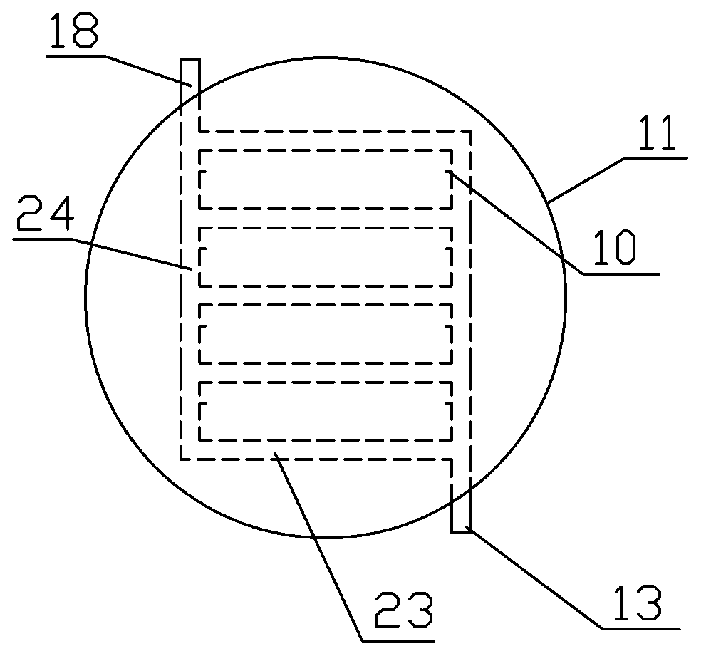 Vacuum freeze drying puffing processing method of fig