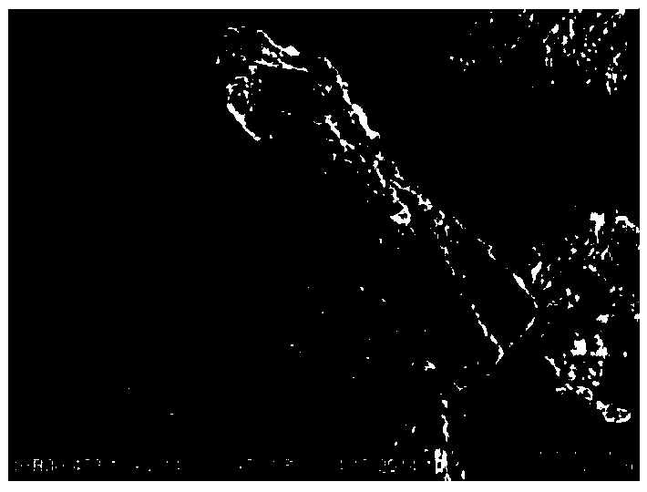 Modified cereal dietary fiber and preparation method thereof