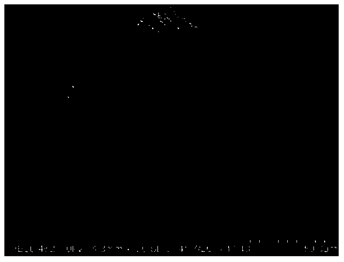 Modified cereal dietary fiber and preparation method thereof