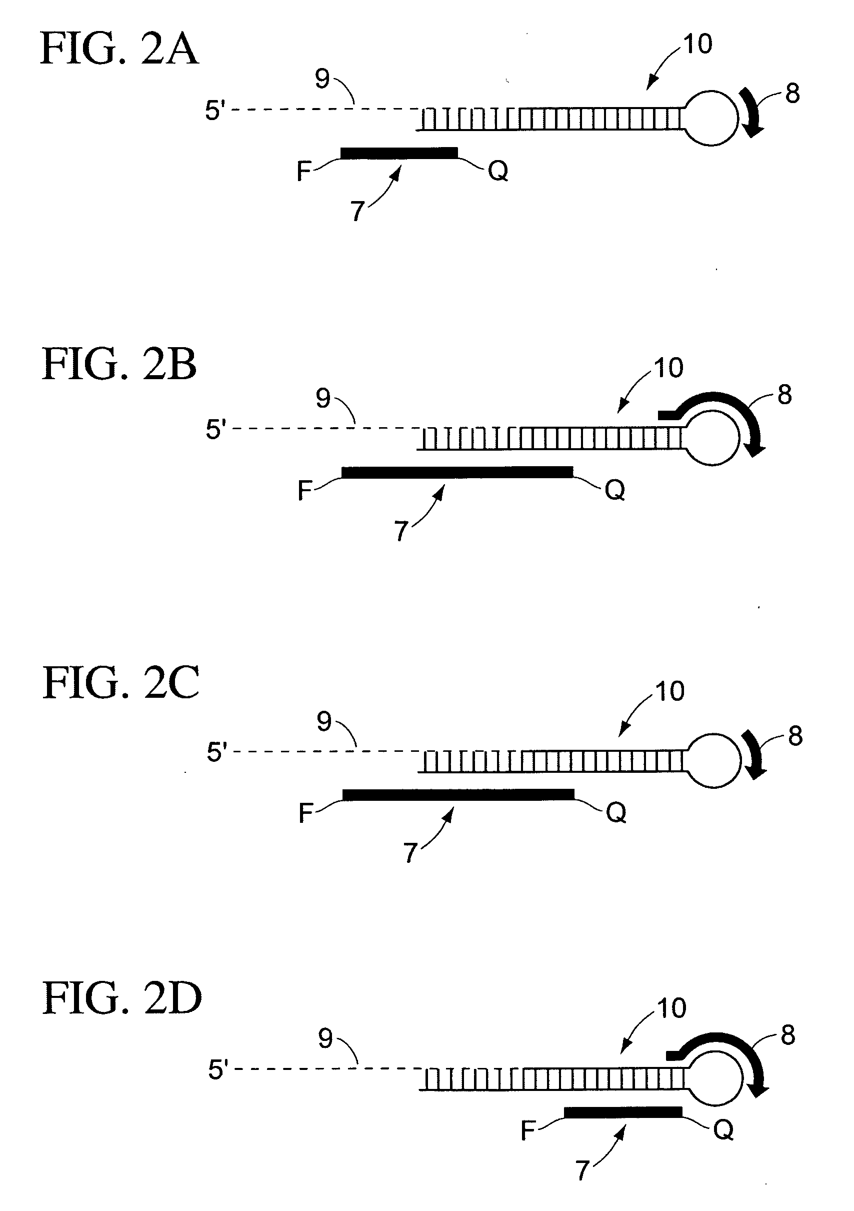 Method for identifying medically important cell populations using micro RNA as tissue specific biomarkers