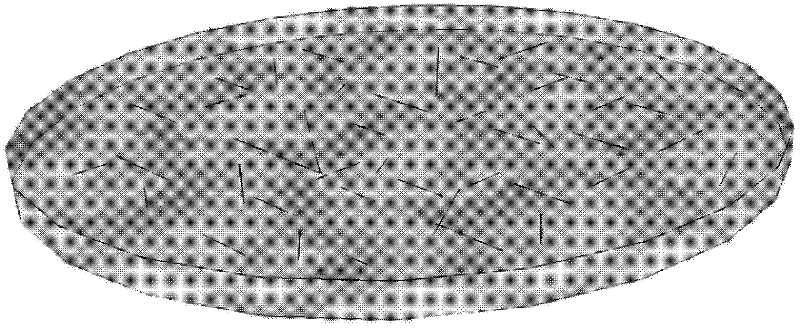 Oxidized sodium alginate/gelatin degradable hydrogel and preparation method thereof