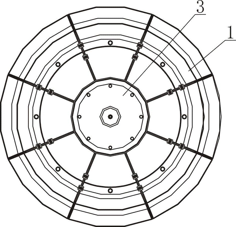 Soilless vegetable hydroculture rack