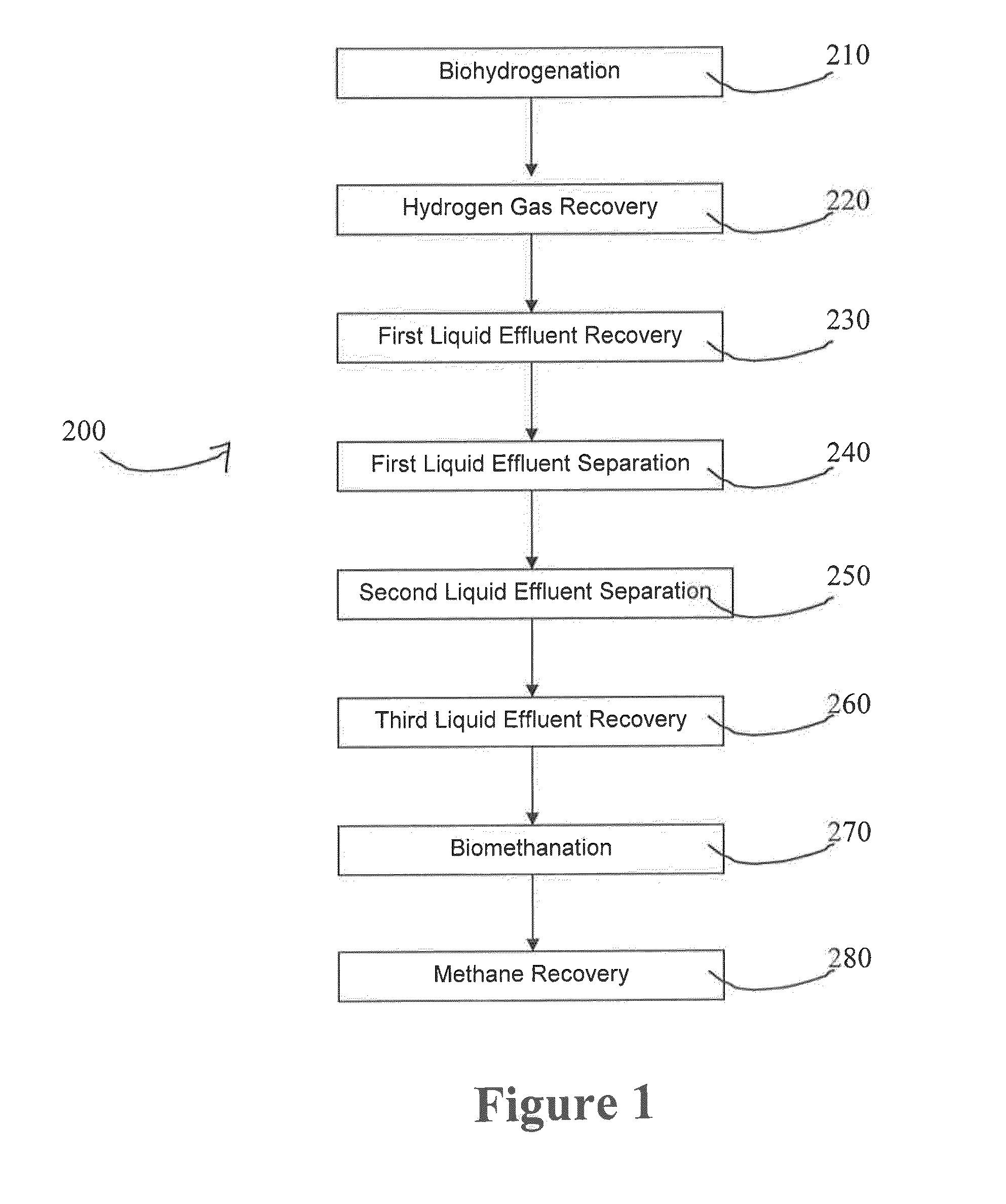 Biohydrogen production method and reactor