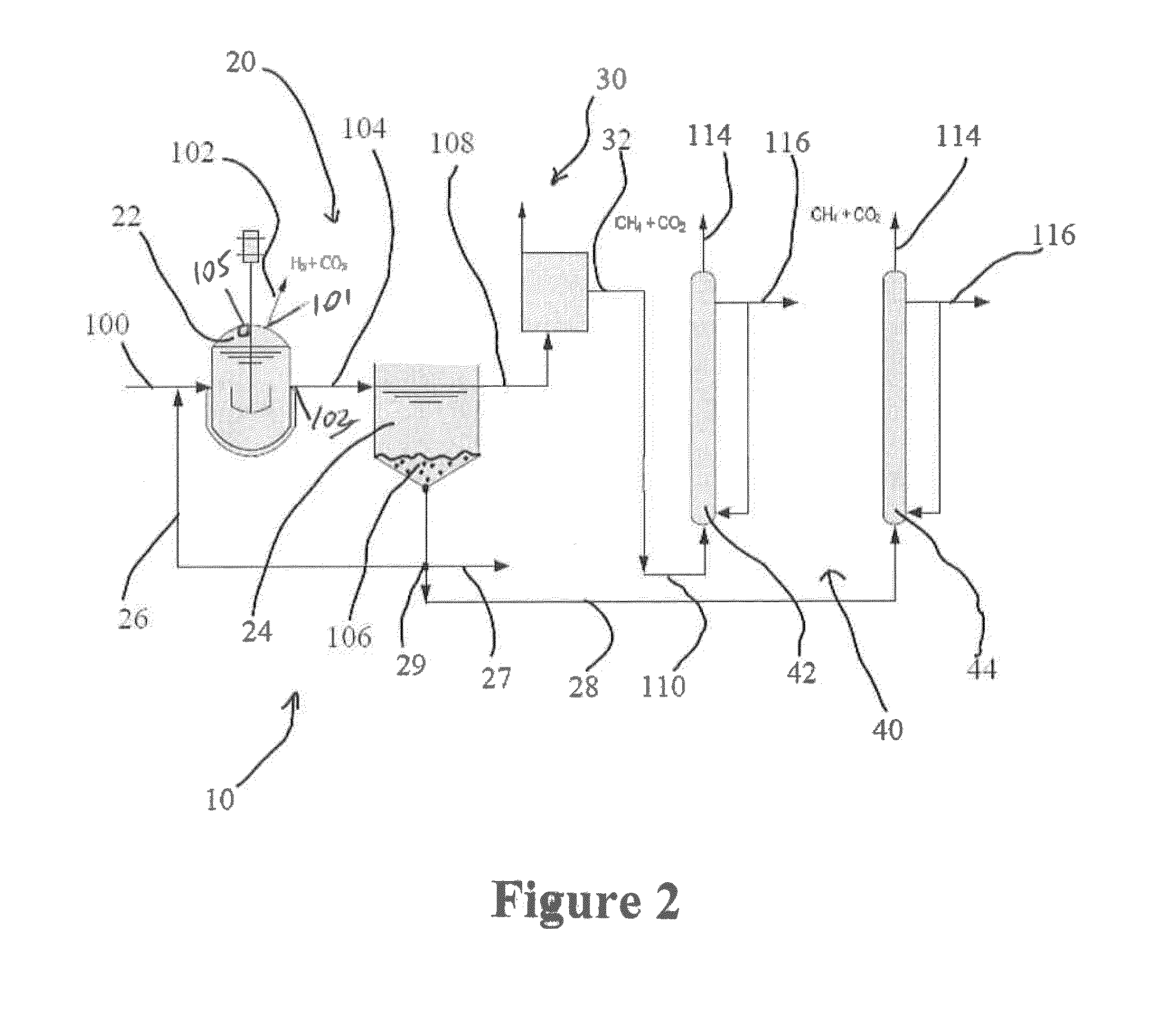 Biohydrogen production method and reactor