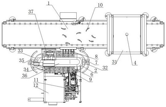 A feeding positioning method for an automatic shrimp peeling machine