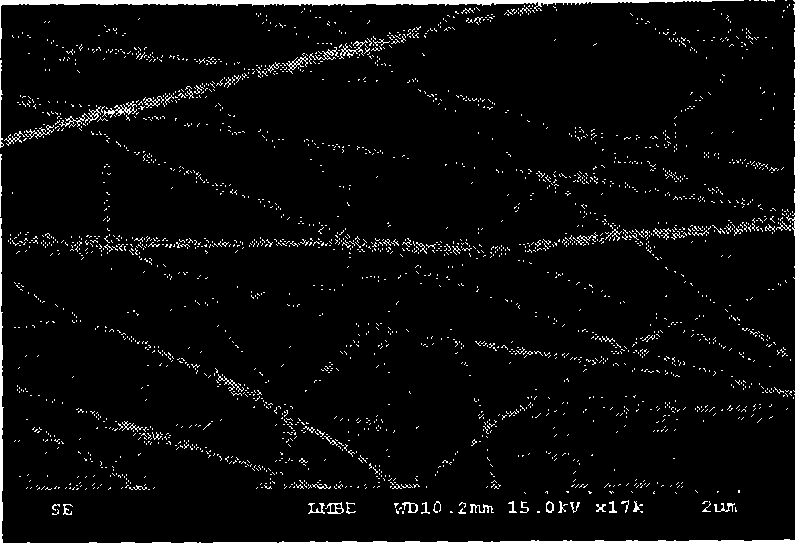 Oral colon positioning feed preparation based on electric spinning superfine nuclear fibre and its making method