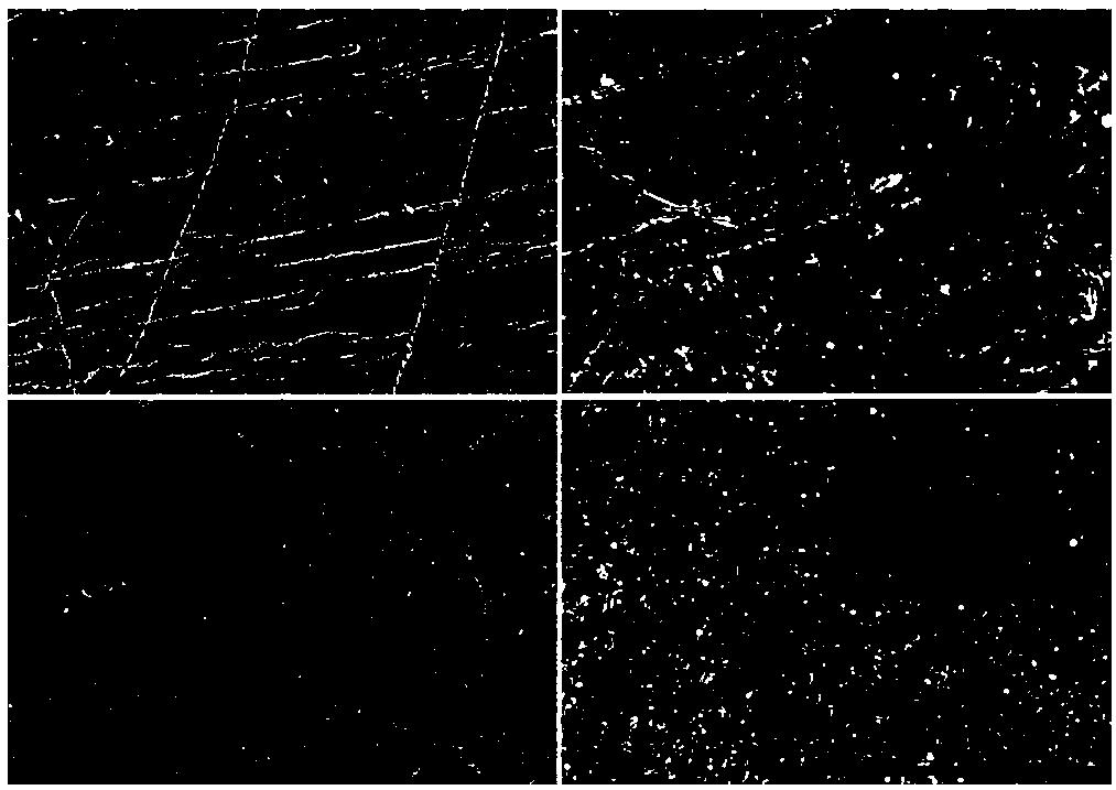 Preparation method of lithium cathode of solid-state battery