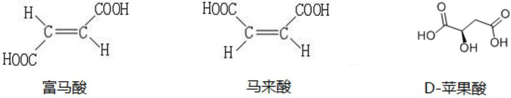 A kind of maleate hydratase mutant and its application