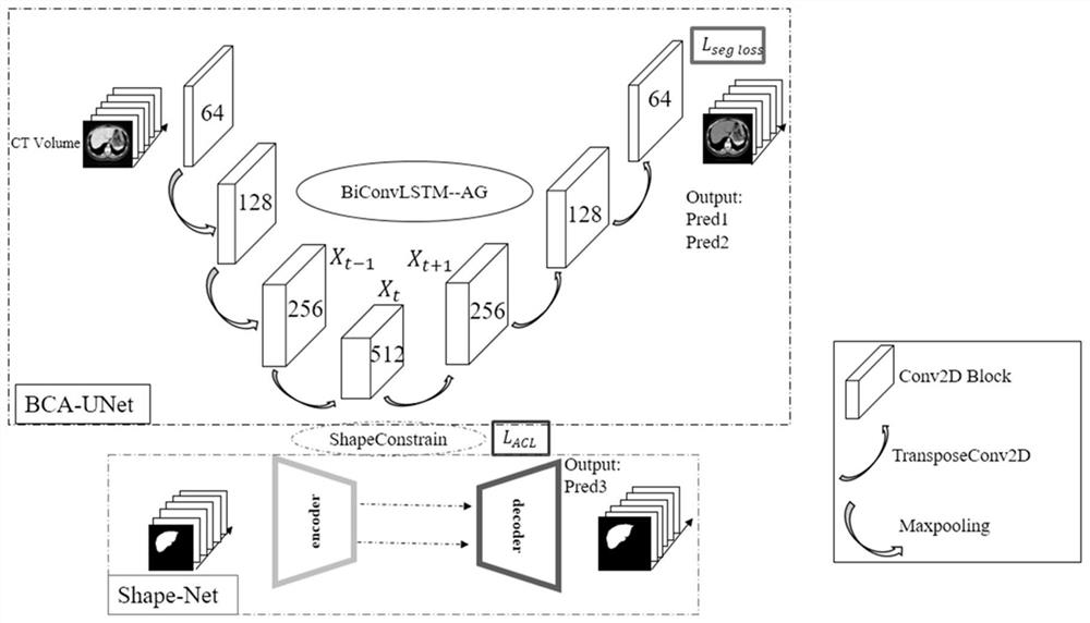 priori shape constraint-based BCA-UNet liver segmentation method