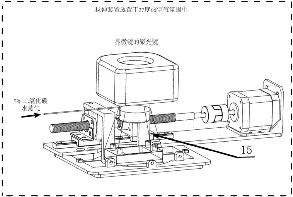 Uniform speed symmetrical uniaxial tension cell mechanical device for real-time in-situ observation