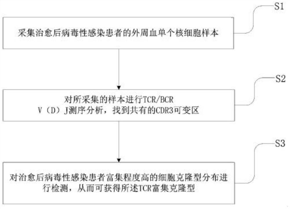 TCR-enriched clone type as well as acquisition method and application thereof