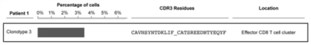 TCR-enriched clone type as well as acquisition method and application thereof