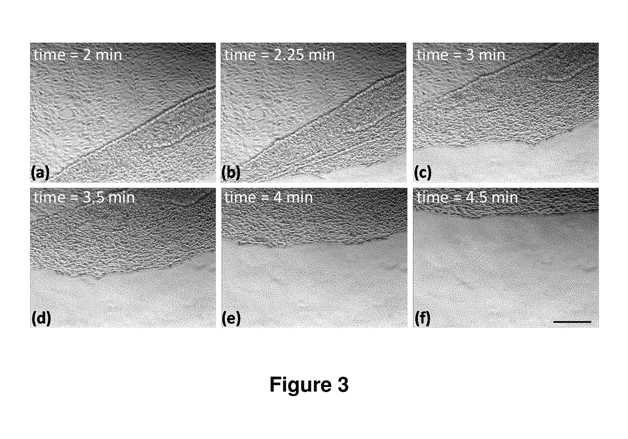 Thermoresponsive cell culture supports