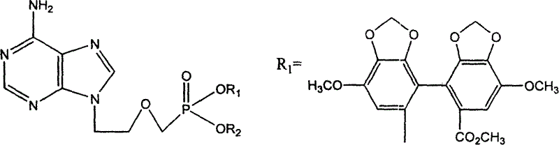 9-[2-(phosphonomethoxy)ethyl] adenine bicycloalkoxide and its preparation