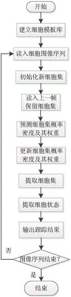 Multi-cell automatic tracking method based on multi-Bernoullie filter with label