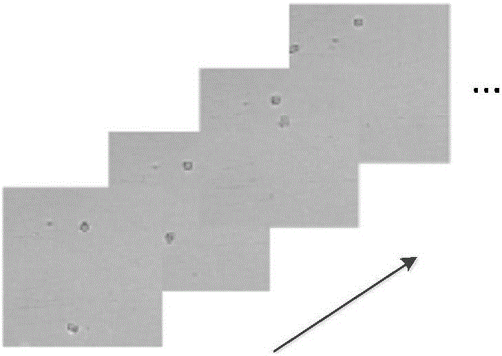 Multi-cell automatic tracking method based on multi-Bernoullie filter with label