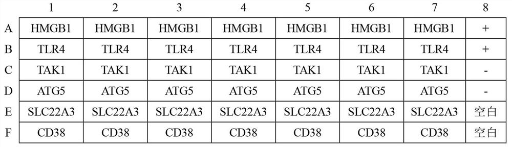 An ELISA kit for early diagnosis of esophageal squamous cell carcinoma